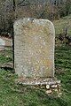 Statue-Menhir (1) de Rieuviel.