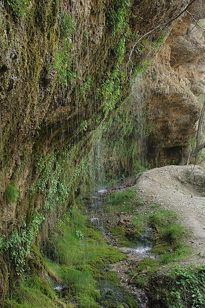 File:Rinnende Mauer in der Steyrschlucht 1.jpg