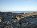 Thumbnail for File:Rocks in Jervis Bay.jpg
