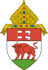 Roman Catholic Diocese of Buffalo.svg