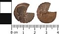 Roman coin, Incomplete de (FindID 553497).jpg