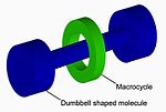 Vignette pour Rotaxane