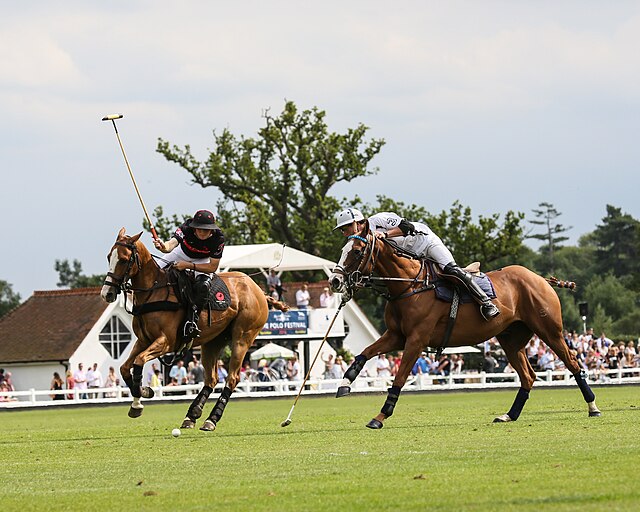 Поло клуб. Polo Club Royal Berkshire одежда. Royal County of Berkshire Polo Club. Polo Club Royal Berkshire футболка. Конное поло.