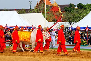 مهرجان المحراث