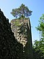 Weissenauer Ruine