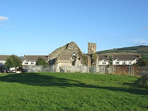 Ruins of House and Tower, Old Bawn - geograph.org.uk - 538370.jpg