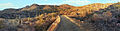 Saguaro National Park Panorama.jpg