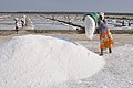 Salt workers, Marakkanam