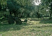 Santuario nuragico di Santa Cristina bei Paulilatino