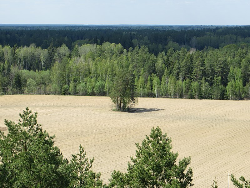 File:Sarių sen., Lithuania - panoramio (22).jpg