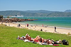 Image 10Scorching Bay, Wellington, in summer (from Geography of New Zealand)