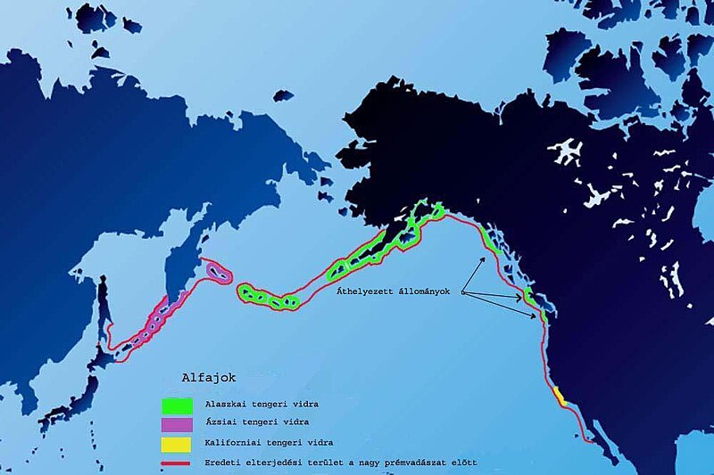 File:Sea-otter-map HU.JPG