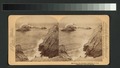 Seal Rocks, San Francisco, California (NYPL b11707327-G89F405 026F).tiff