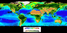 SeaWiFS image for the global biosphere Seawifs global biosphere 2002.png