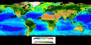 Visualization of satellite-derived global plant life, both oceanic (mg m chlorophyll-a) and terrestrial (normalized difference land vegetation index), provided by the SeaWiFS Project, NASA Goddard Space Flight Center. The field of ocean optics includes methods that help researchers estimate ocean chlorophyll-a concentrations. Seawifs global biosphere 2002.png