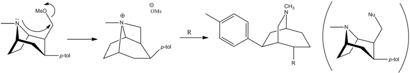 File:Skeletal Rearrangement.png