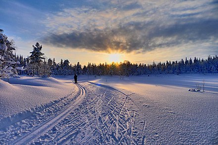 Cross country skiing trail near Ruka; noon in early February