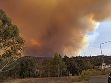 Smoke cloud from Australian summer's bushfires three-times larger