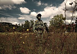 The Singaporean Army's integrated Load Bearing Vest (iLBV) is included as a component of the ACMS. Soldier in a Singapore Army uniform and integrated load bearing vest - 20121030.jpg