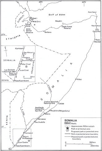 Somalia's ecological parks, coral reefs and protected areas. Somcoralreef.jpg