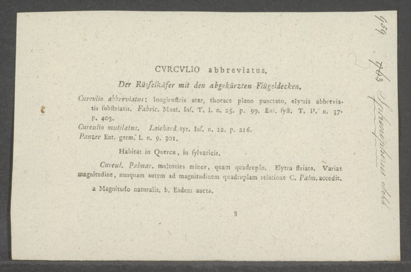 File:Sphenophorus - Print - Iconographia Zoologica - Special Collections University of Amsterdam - UBAINV0274 030 05 0018.tif