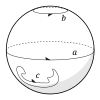 Homology cycles on a sphere