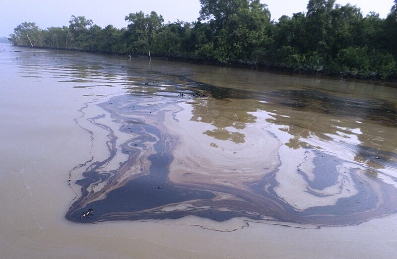 File:Spilt oil in Sundarban.jpg