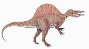 Miniatuur voor Spinosauridae