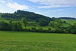 Stühlingen Nature Reserve Braunhalden-Schlattboden Image 1.jpg