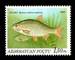 Stamps of Azerbaijan, 1993-196.jpg