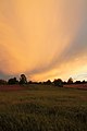 * Nomination Stormy clouds in Waterloo, Ontario --PerfectSoundWhatever 02:08, 16 June 2022 (UTC) * Decline  Oppose I like the photo, but it doesn't seem sharp enough for QI. Also, please eliminate the COM:OVERCAT. -- Ikan Kekek 02:12, 16 June 2022 (UTC)