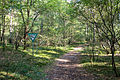 Ölbachtal mit Augustdorfer Dünenfeld