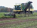 six row harvester