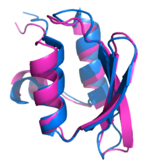 An example of distributed computing (Rosetta) in predicting the 3D structure of a protein from its amino-acid sequence. The predicted structure (magenta) of a protein is overlaid with the experimentally determined crystal structure (blue) of that protein. The agreement between the two is very good. T0281-bakerprediction overlay.png