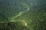 Thumbnail for Gunung Leuser National Park