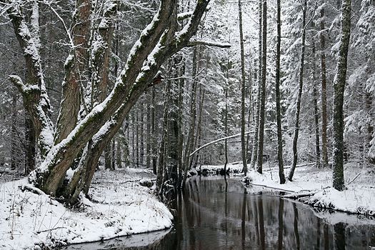 Тарвасиг, река у Естонији