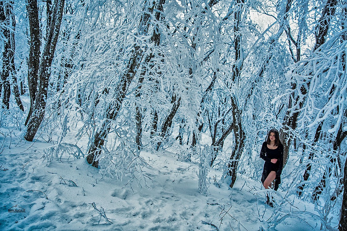 Tbilisi National Park3.jpg