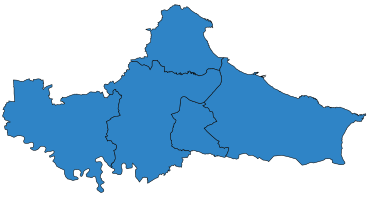 File:Tees Valley Mayoral Election 2021.svg