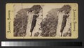 The Palisades from the Mountain House, New York State (NYPL b11707647-G90F453 007F).tiff