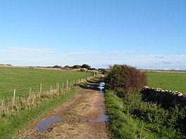 The Priest's Way, Worth Matravers - geograph.org.uk - 268631.jpg