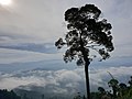 The Sea of Mist Ai Yerweng, Betong.jpg