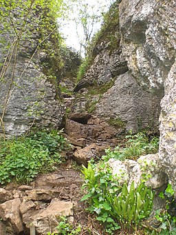 The narrow path through Ebbor Gorge - geograph.org.uk - 1287073