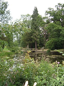 Thorp Perrow Arboretum - geograph.org.uk - 32368.jpg