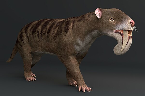 Image: Thylacosmilus 3D model