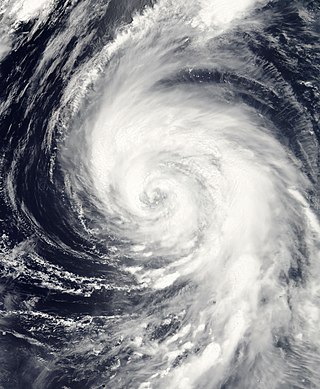 <span class="mw-page-title-main">Typhoon Tingting</span> Pacific typhoon in 2004