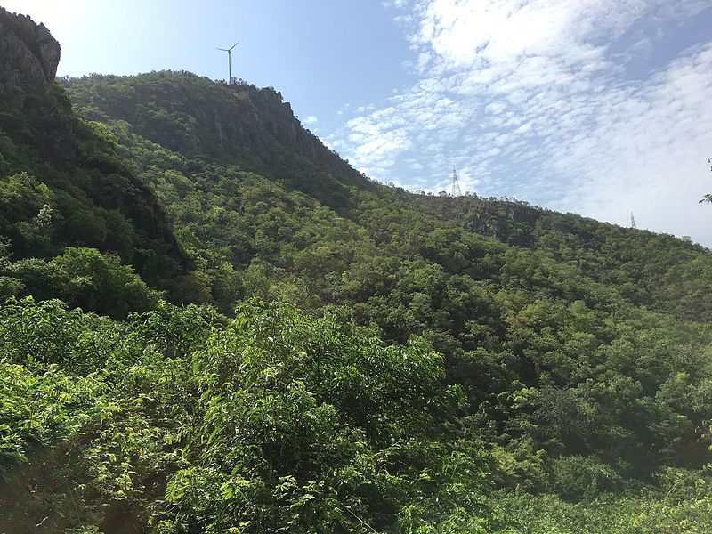 File:Tirumala Hills.jpg