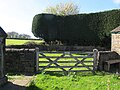 wikimedia_commons=File:Tong village pinfold - geograph.org.uk - 5370824.jpg