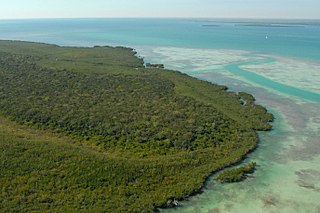 Totten Key island in the United States of America