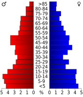 Bevolkingspiramide Wayne County