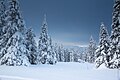 Ural Mountains Winter woods (32035729862).jpg